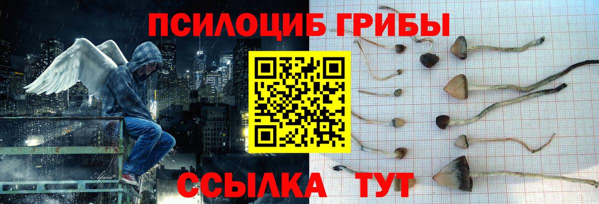 Галлюциногенные грибы GOLDEN TEACHER Сальск