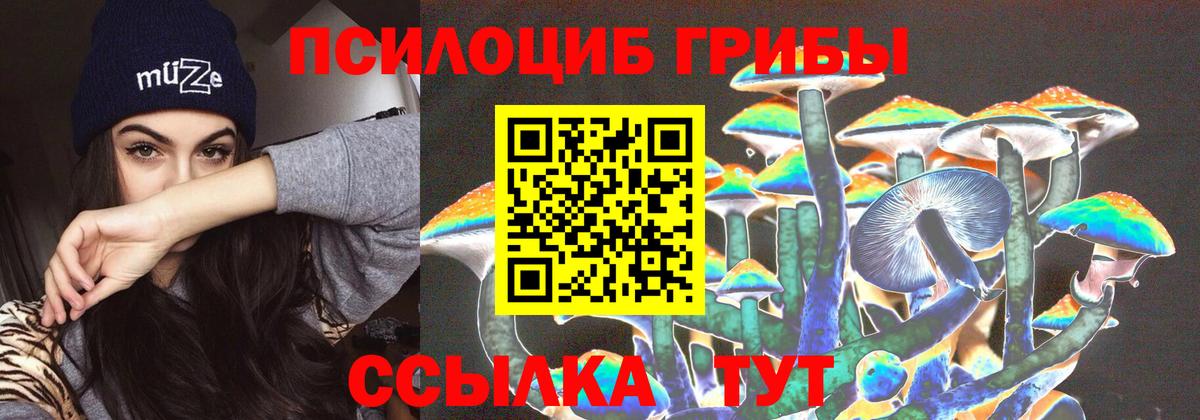 Галлюциногенные грибы MAGIC MUSHROOMS  Вход с VPN  Сальск 
